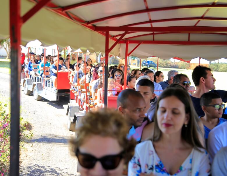 maeda_trenzinho